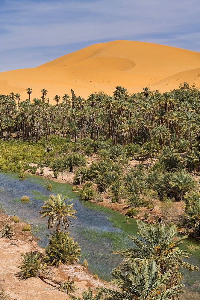 View over the Oasis of Taghit, western Algeria, North Africa, Africa