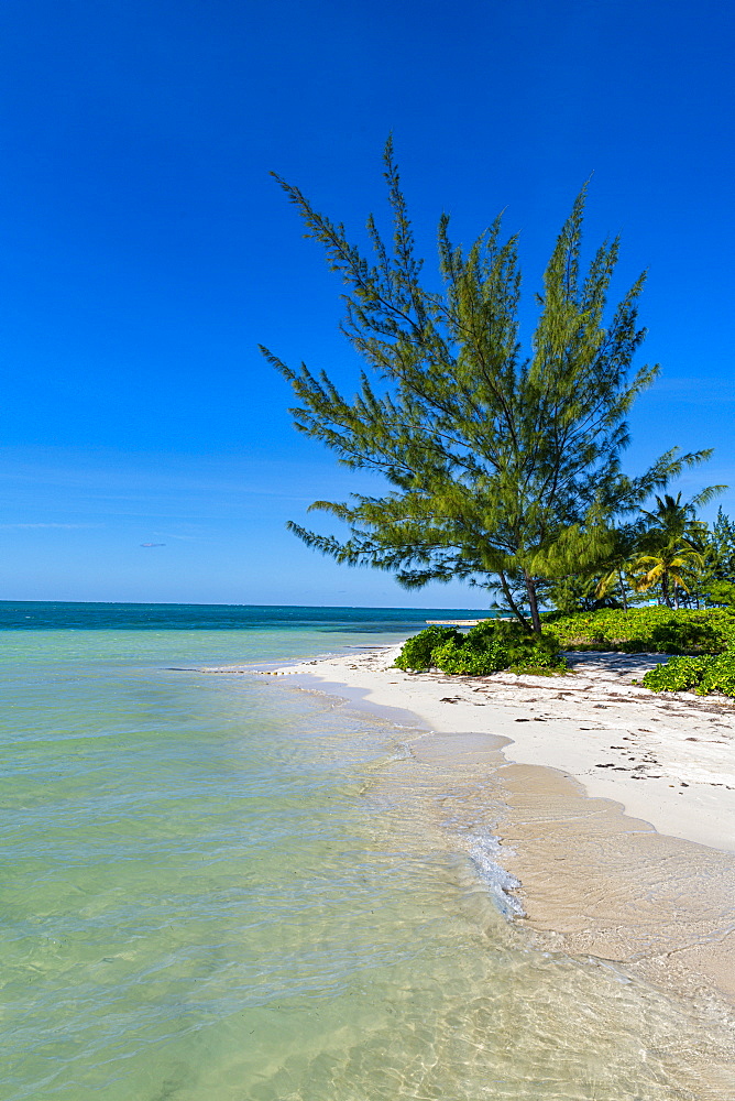 White sand beach, Water Cay, Grand Cayman, Cayman Islands, Caribbean, Central America