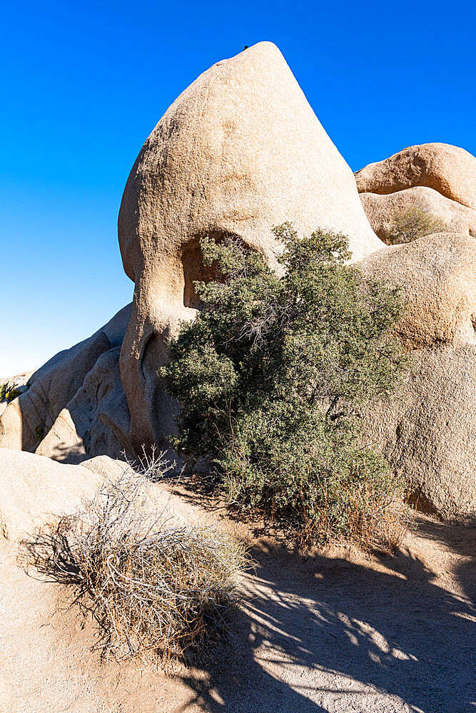 Skull rock formation, Joshua Tree National Park, California, United States of America, North America