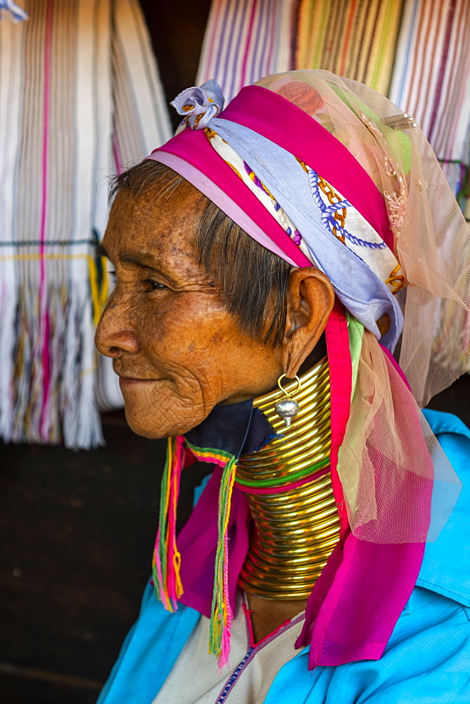 Portrait of a Padaung woman (Giraffe woman) (Long-necked woman), Loikaw area, Panpet, Kayah state, Myanmar (Burma), Asia