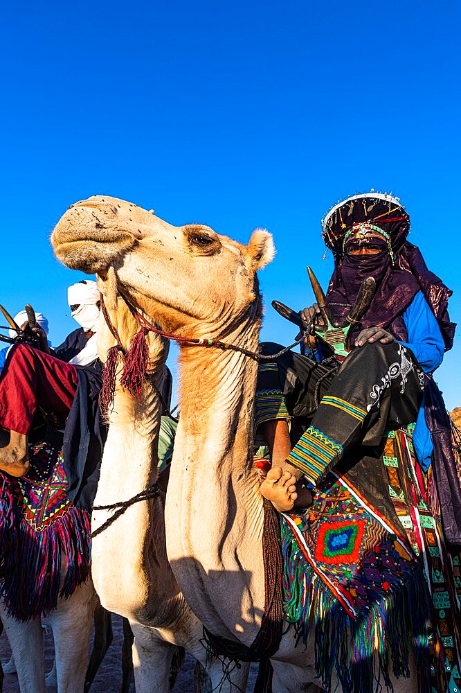 Traditional dressed Tuaregs on their camels, Oasis of Timia, Air Mountains, Niger, Africa