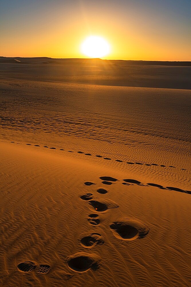 Footprints and sand ripples in the sand dunes of the Tenere Desert, Sahara, Niger, Africa