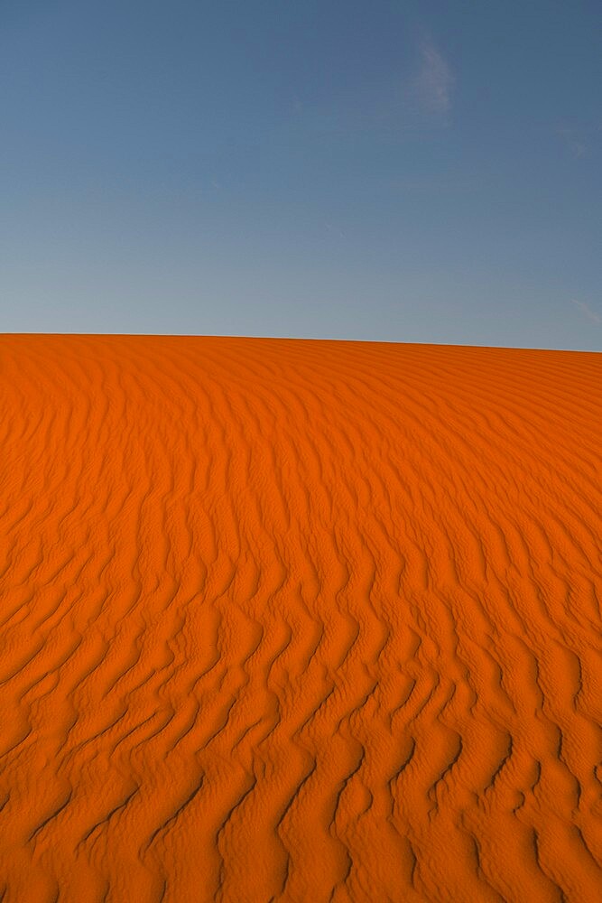 Sand ripples in the sand dunes of the Tenere Desert, Sahara, Niger, Africa