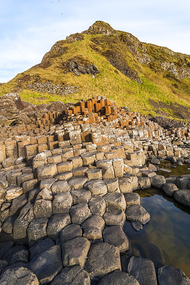 The Giants Causeway, UNESCO World Heritage Site, County Antrim, Ulster, Northern Ireland, United Kingdom, Europe 