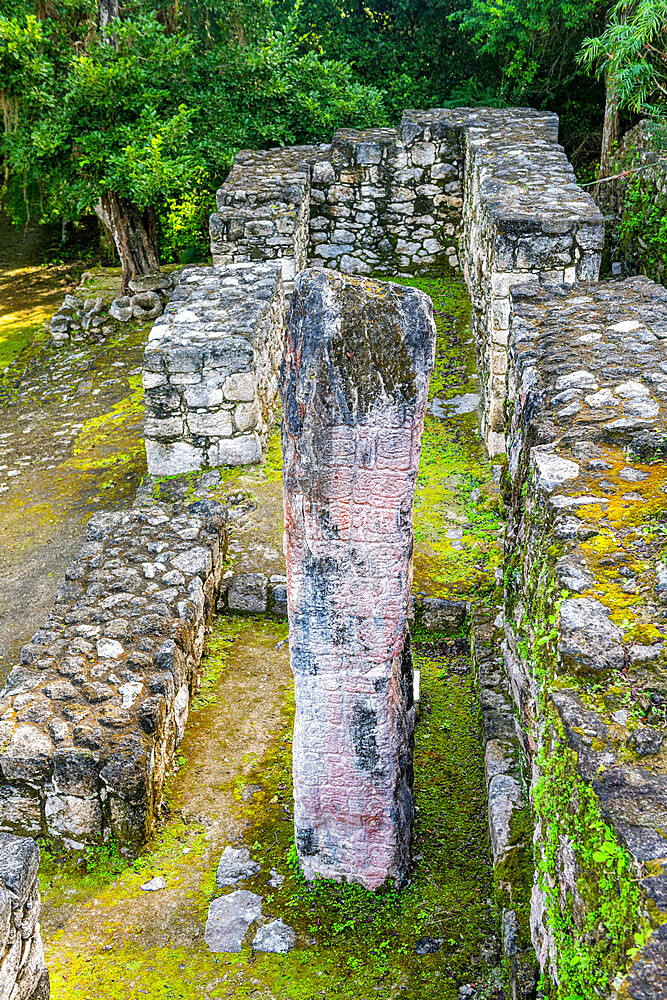 Calakmul, UNESCO World Heritage Site, Campeche, Mexico, North America