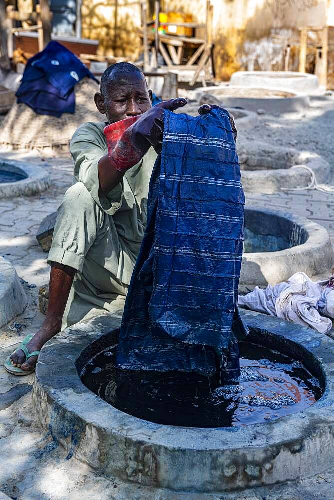 Man dyeing clothes with Indigo, Dyeing pits, Kano, Kano state, Nigeria, West Africa, Africa