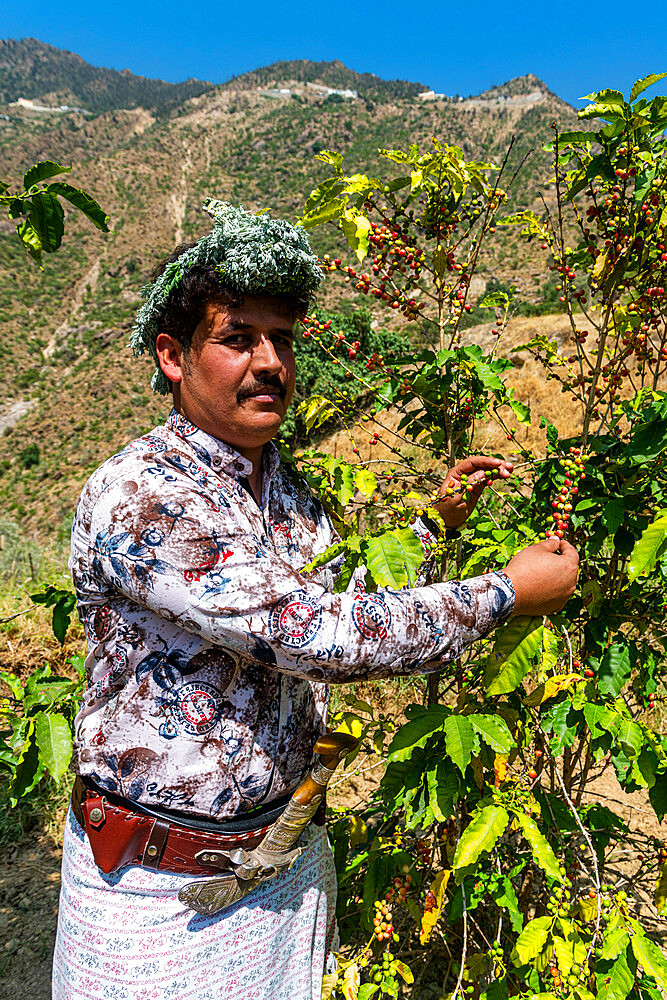 Traditional dressed man of the Qahtani Flower men tribe in the coffee plants, Asir Mountains, Kingdom of Saudi Arabia, Middle East