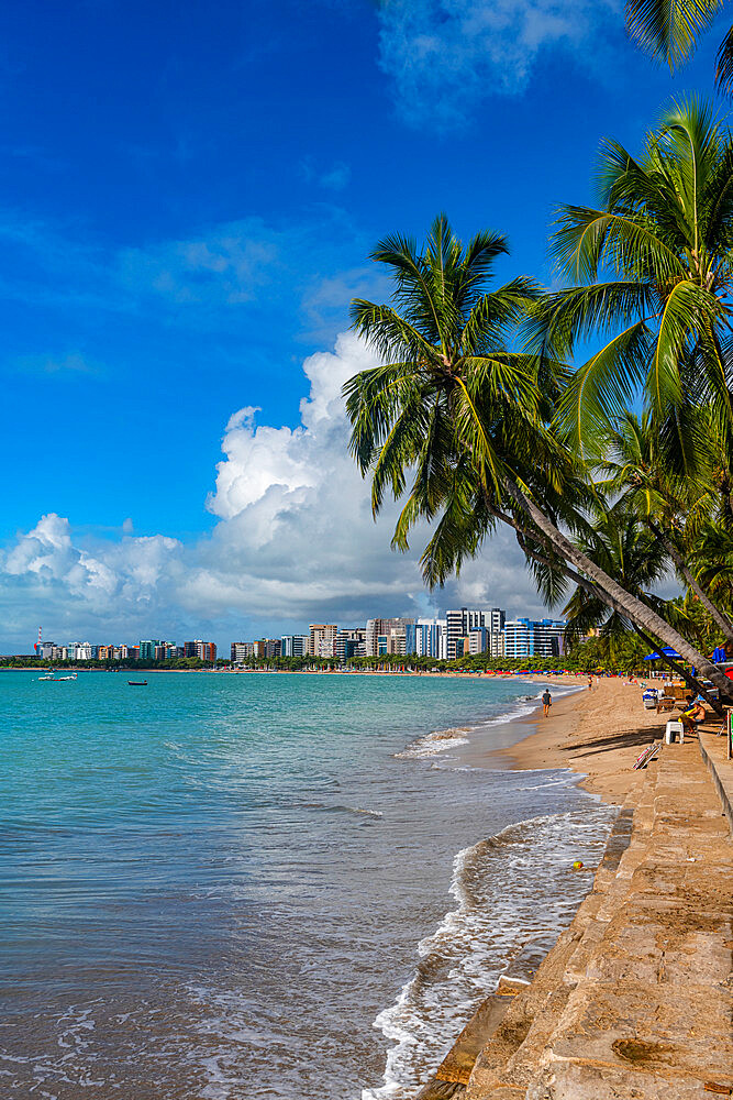 Palm fringed beach, Maceio, Alagoas, Brazil, South America