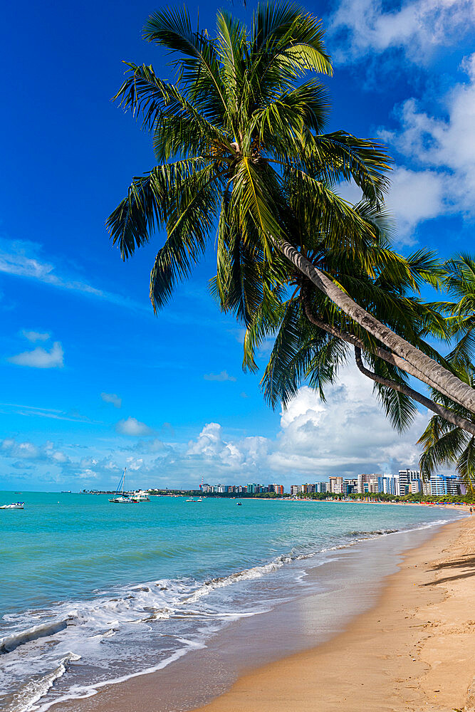 Palm fringed beach, Maceio, Alagoas, Brazil, South America