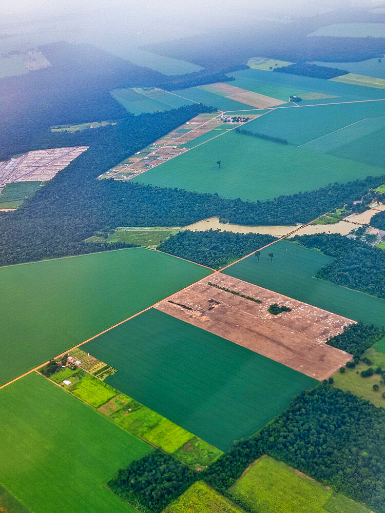 Aerial of the giant soy fields around Sinop, Mato Grosso, Brazil, South America