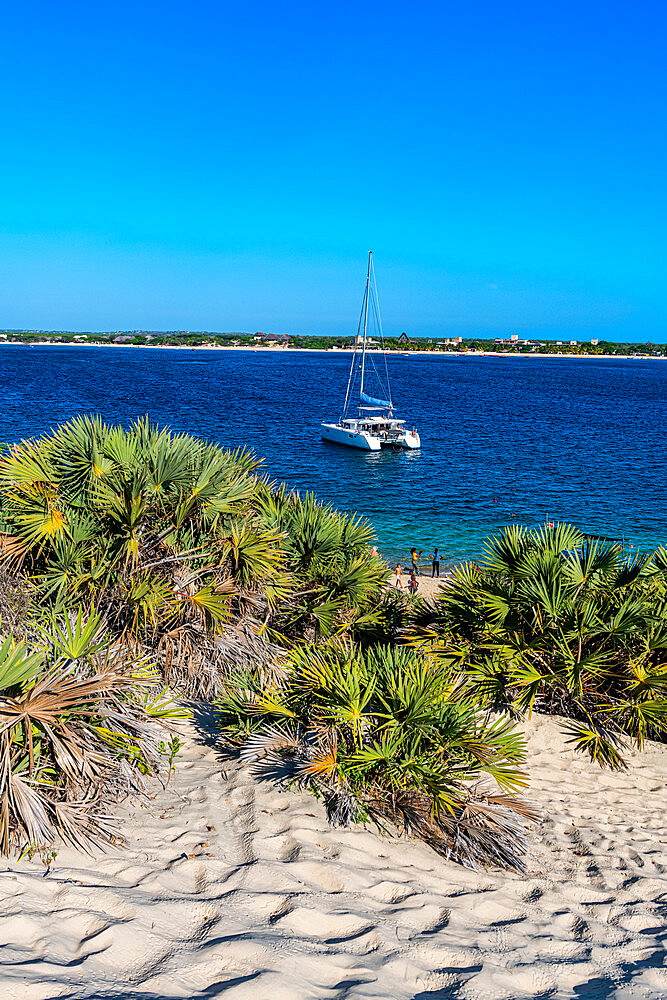 Shela beach, island of Lamu, Kenya, East Africa, Africa