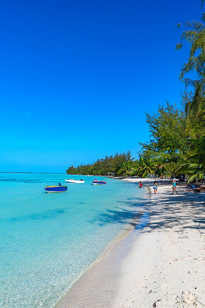 White sand beach, Anaa atoll, Tuamotu archipelago, French Polynesia, South Pacific, Pacific