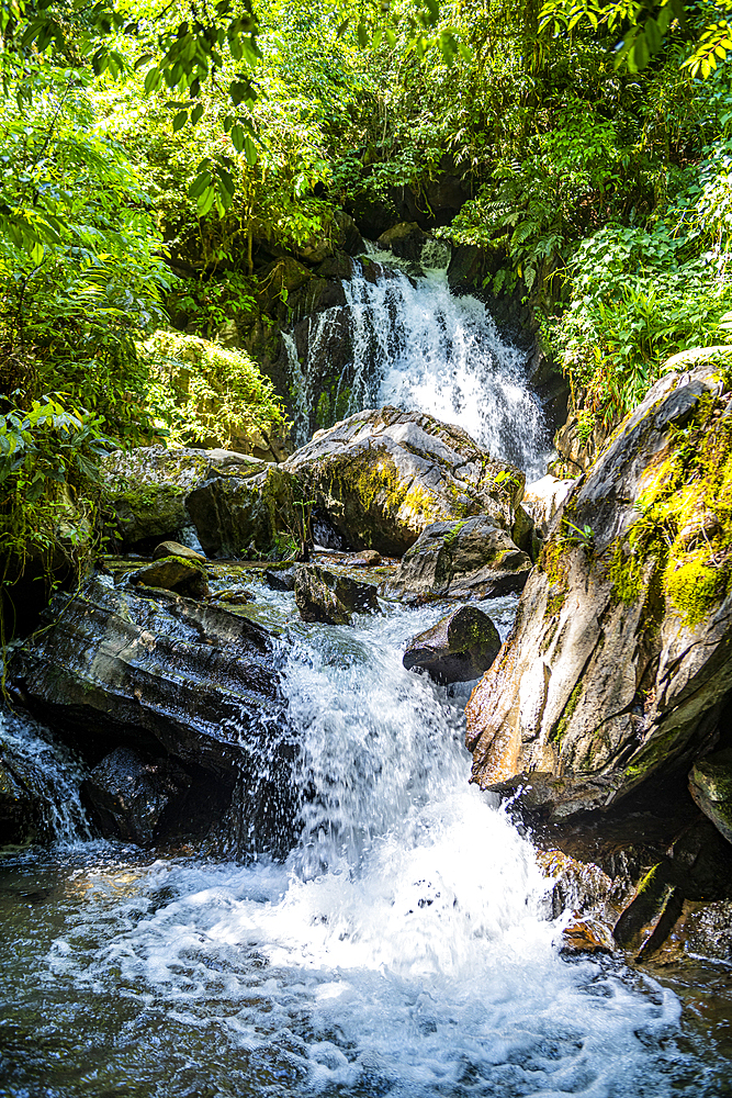 Couto waterfall, Atlantic Forest South-East Reserves, UNESCO World Heritage Site, Alto Ribeira Touristic State Park, Sao Paulo State, Brazil, South America