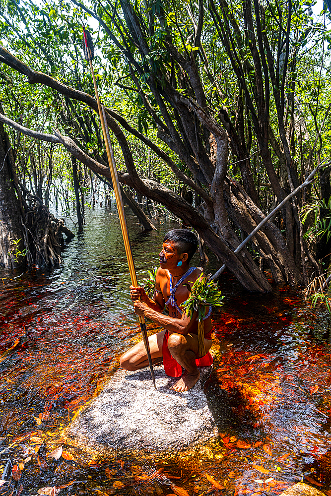 Man from the Yanomami tribe with bow and arrow in the swamplands, southern Venezuela, South America