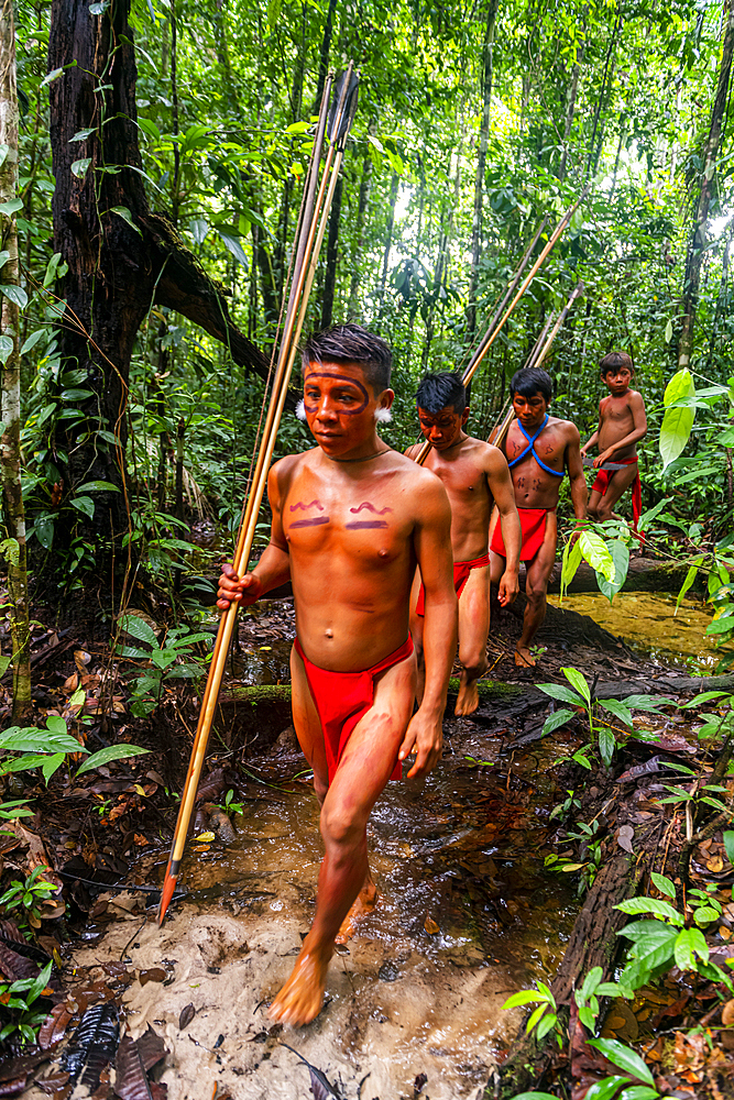 Yanomami tribe walking through the jungle, southern Venezuela, South America