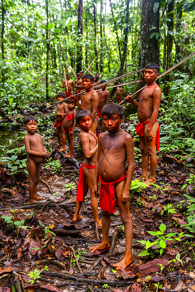 Yanomami tribe walking through the jungle, southern Venezuela, South America