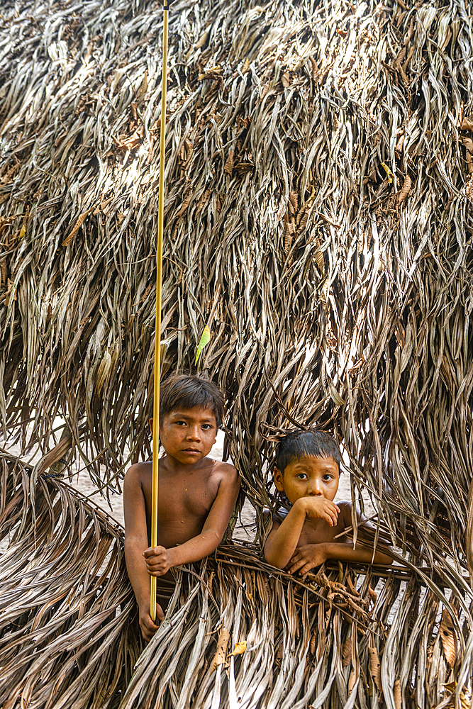 Young boys looking through a hole, Yanomami tribe, southern Venezuela, South America