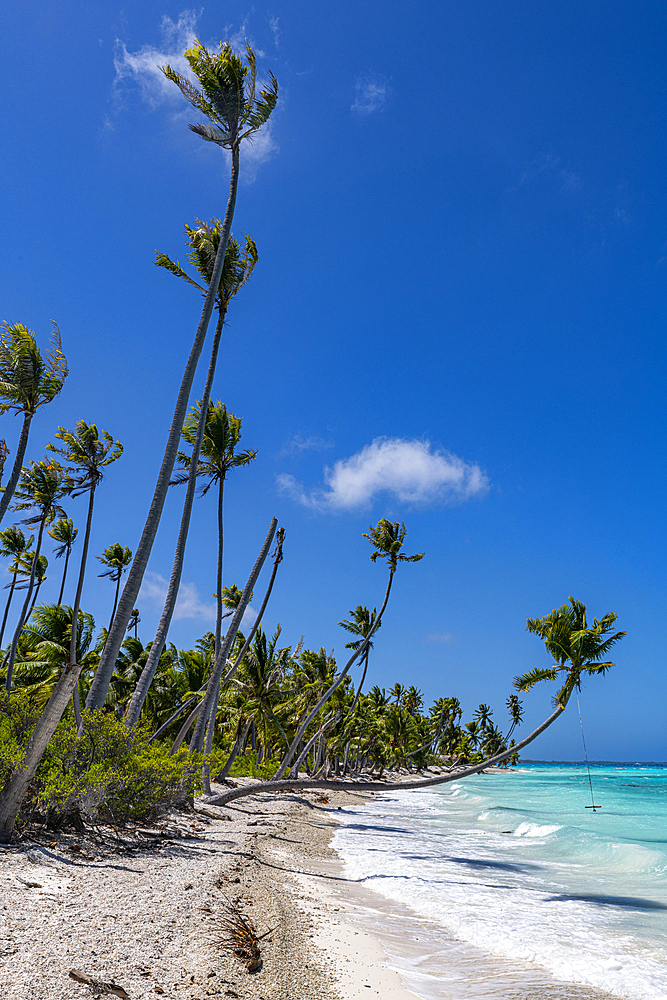 White sand PK-9 beach, Fakarava, Tuamotu archipelago, French Polynesia, South Pacific, Pacific