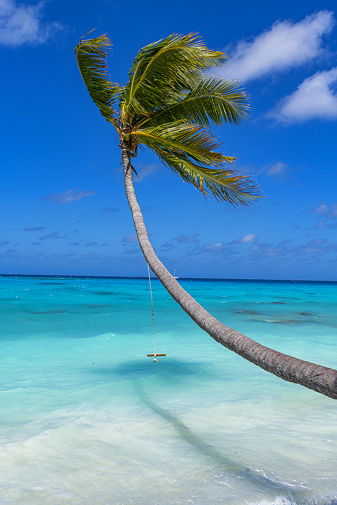 White sand PK-9 beach, Fakarava, Tuamotu archipelago, French Polynesia, South Pacific, Pacific