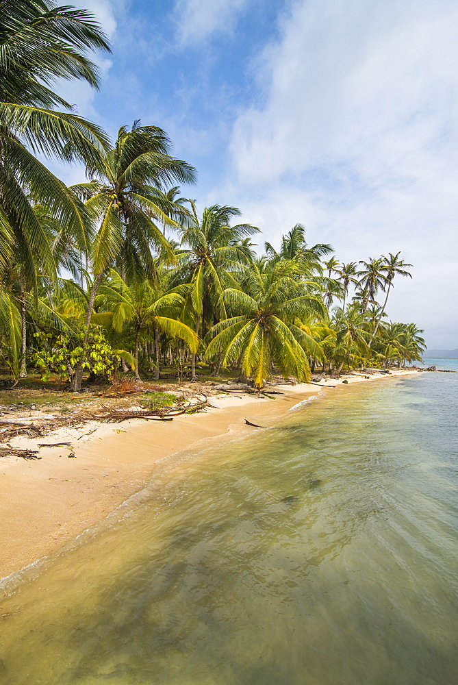 Beautiful palm fringed beach, Achutupu, San Blas Islands, Kuna Yala, Panama, Central America