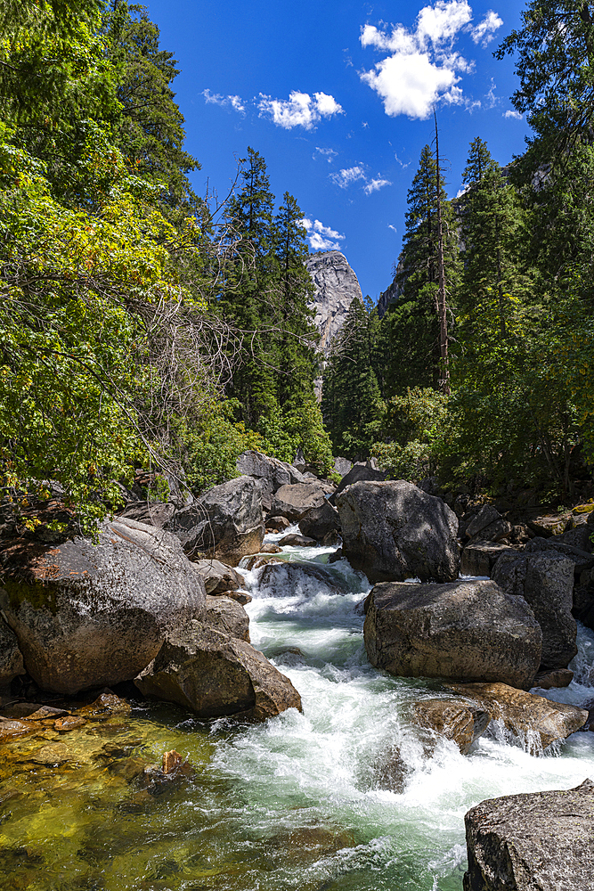 Merced River, Yosemite National Park, UNESCO World Heritage Site, California, United States of America, North America