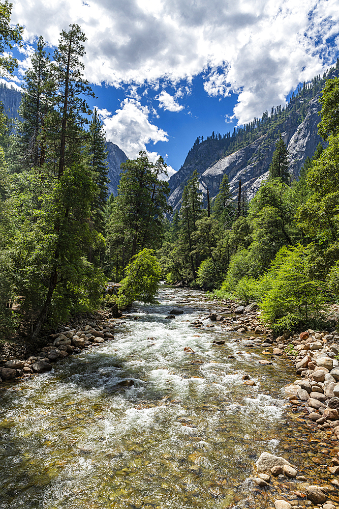 Merced River, Yosemite National Park, UNESCO World Heritage Site, California, United States of America, North America