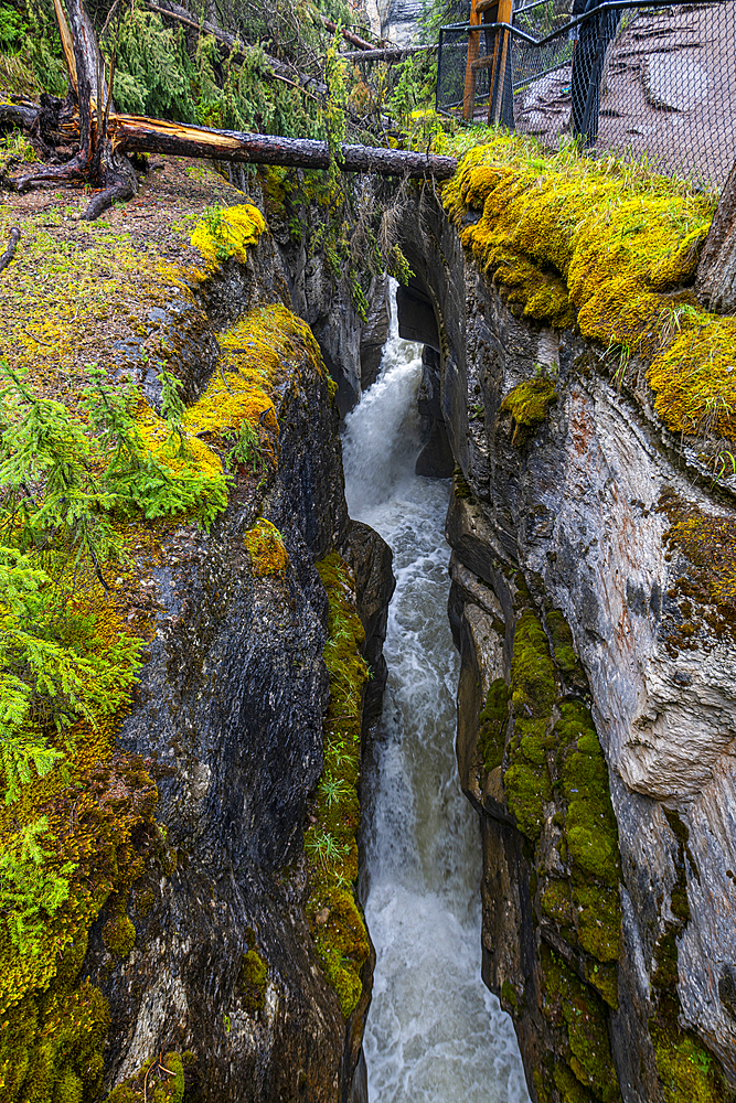 Maligne Canyon, Jasper National Park, UNESCO World Heritage Site, Alberta, Canadian Rockies, Canada, North America