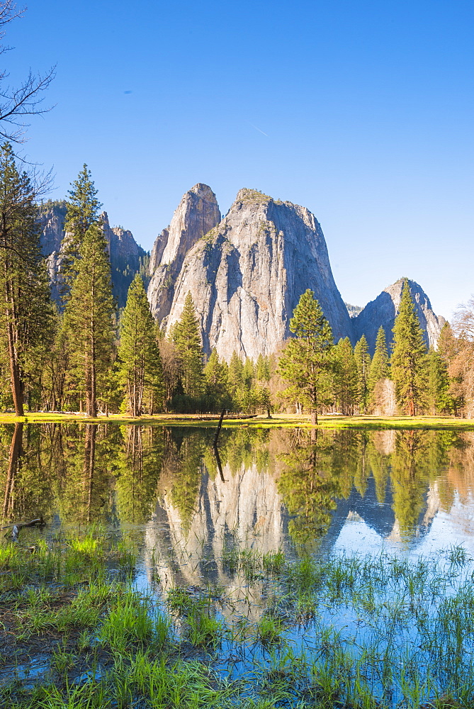 Yosemite National Park, UNESCO World Heritage Site, California, United States of America, North America