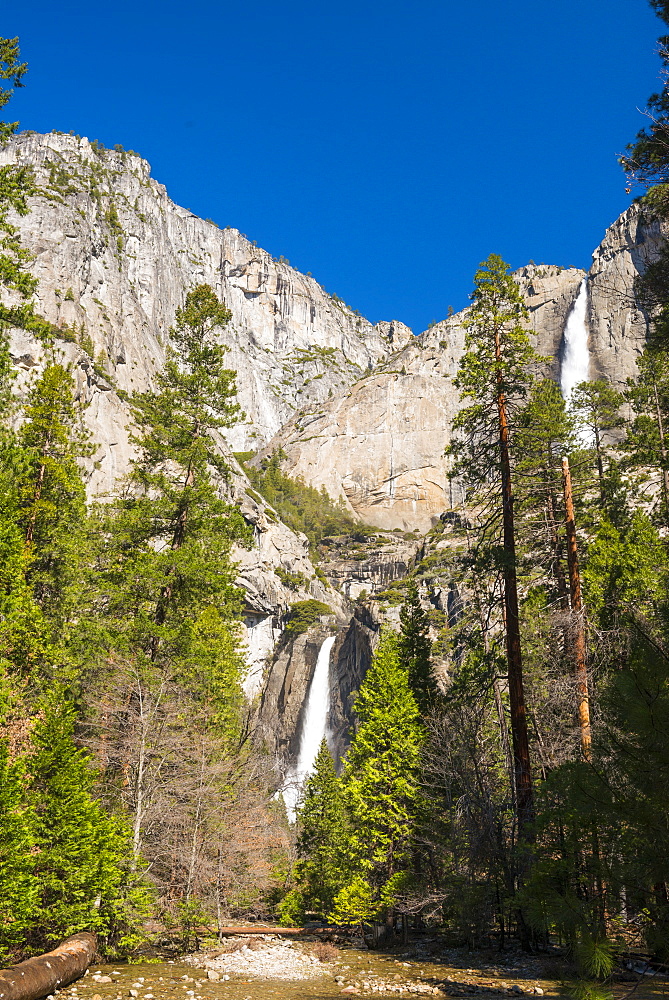 Yosemite Falls, Yosemite National Park, UNESCO World Heritage Site, California, United States of America, North America