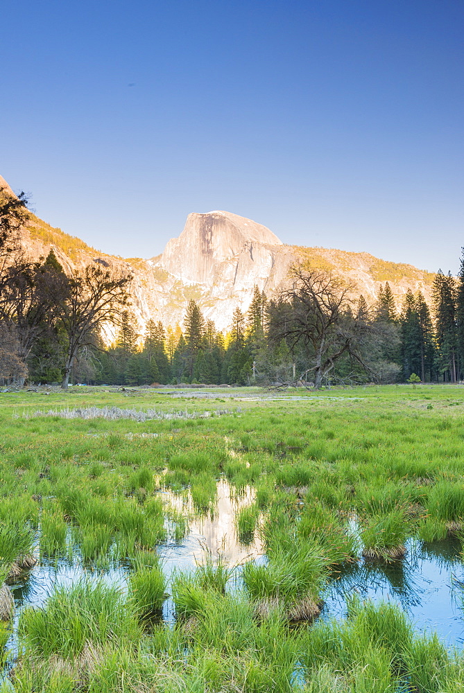 Half Dome, Yosemite National Park, UNESCO World Heritage Site, California, United States of America, North America