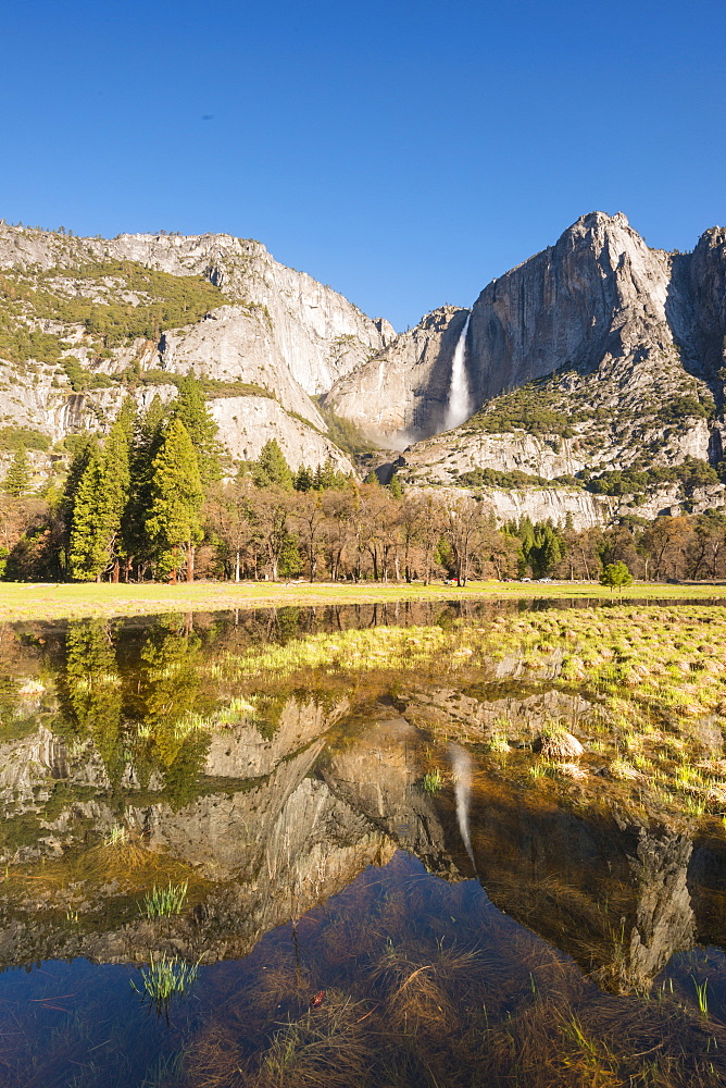 Yosemite Falls, Yosemite National Park, UNESCO World Heritage Site, California, United States of America, North America