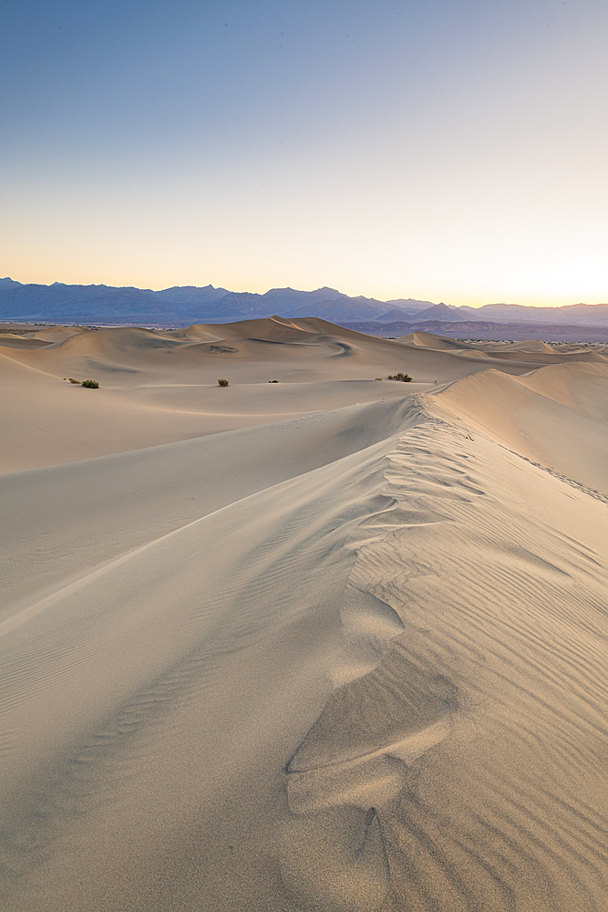 Mesquite flat sand dunes in Death Valley National Park, California, United States of America, North America