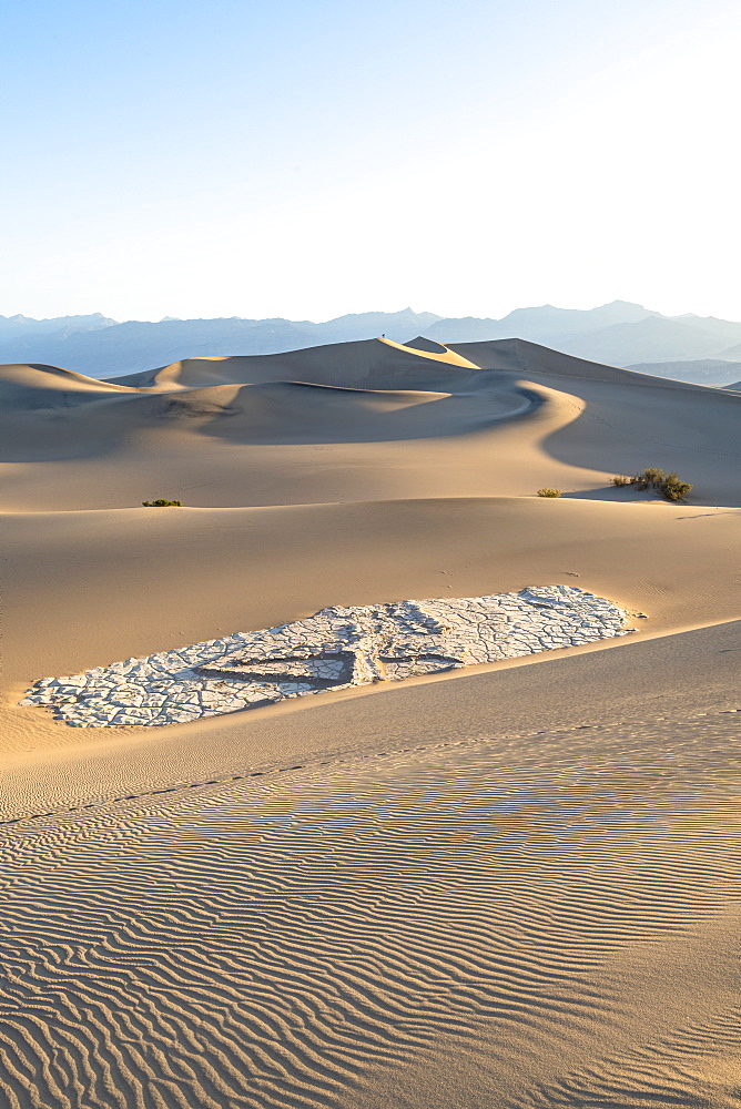 Mesquite flat sand dunes in Death Valley National Park, California, United States of America, North America