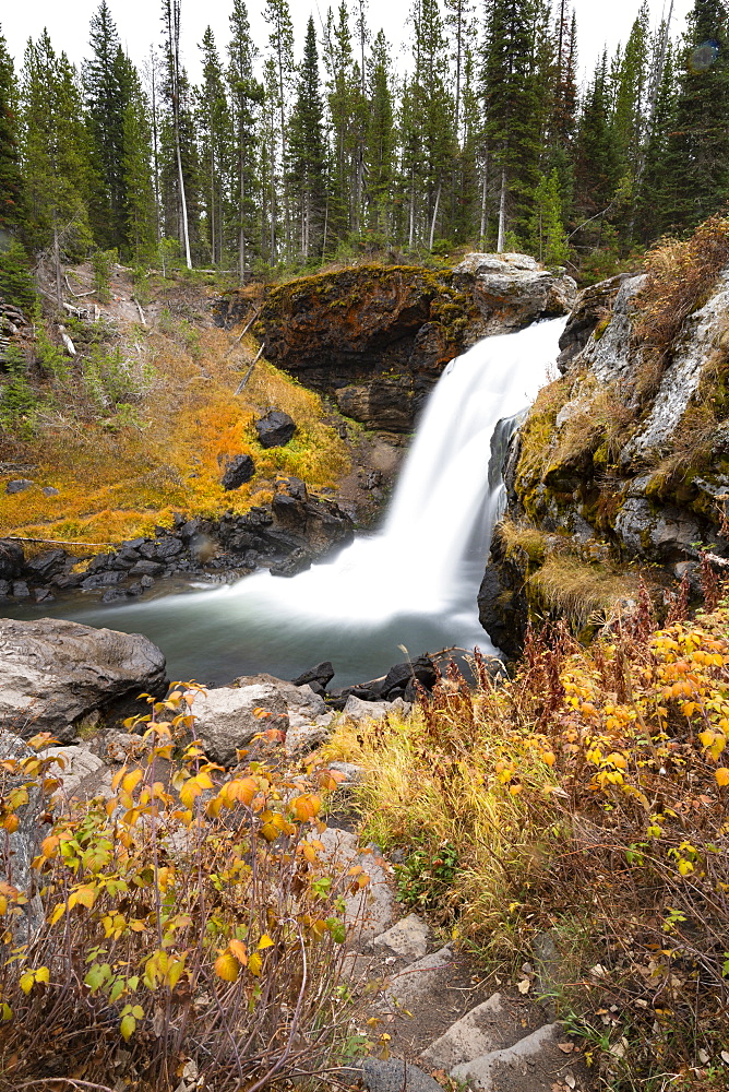 Yellowstone National Park, UNESCO World Heritage Site, Wyoming, United States of America, North America