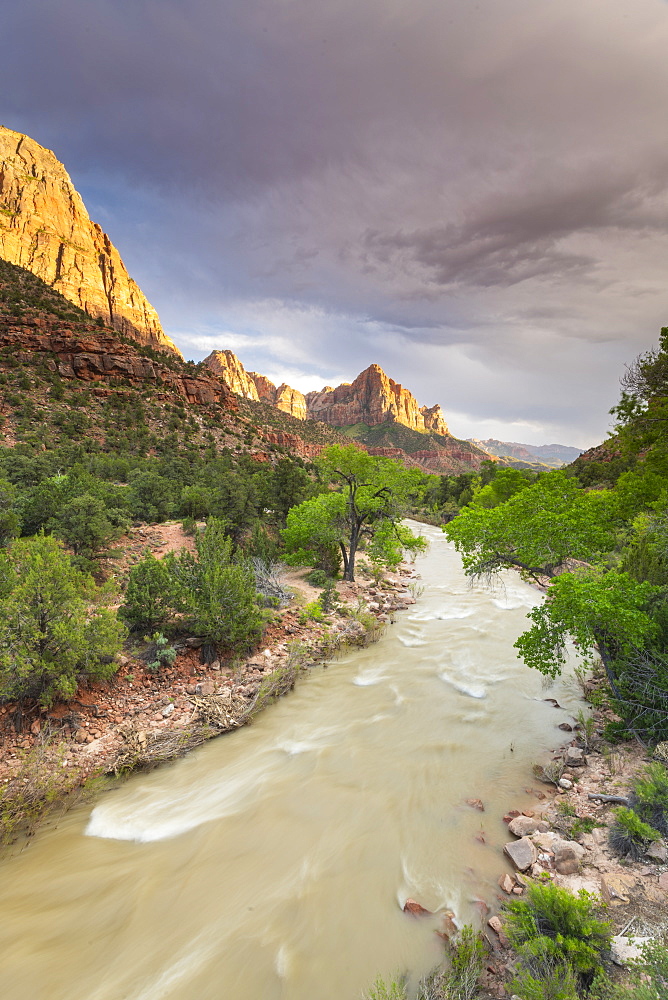 View down the Virgin River to the Watchman, Zion National Park, Utah, United States of America, North America