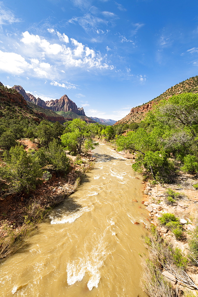 View of the Watchman down the Virgin River, Zion National Park, Utah, United States of America, North America