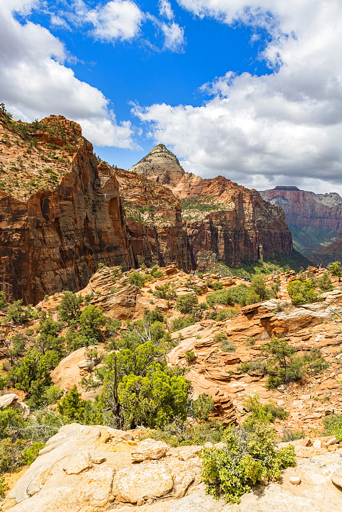 Canyon overlook, Zion National Park, Utah, United States of America, North America