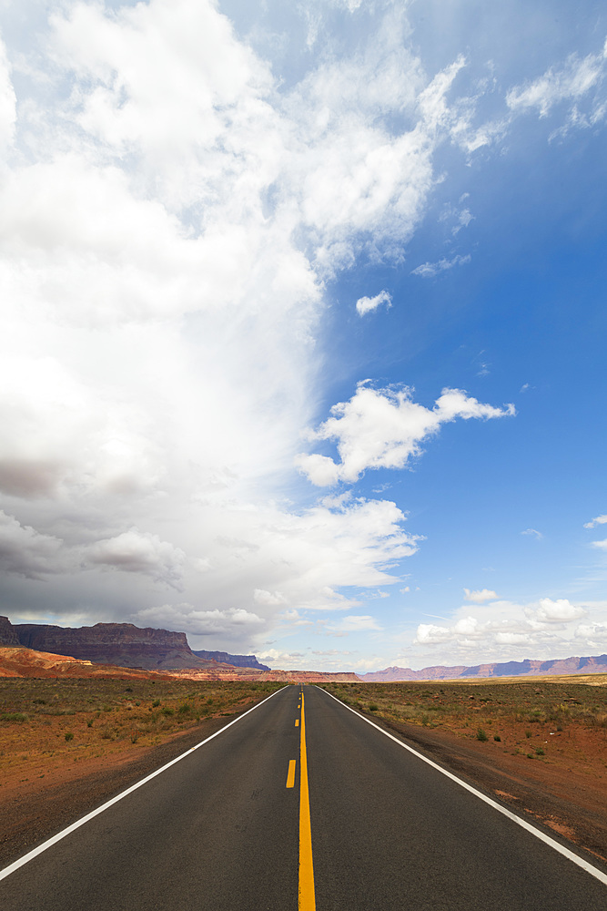 Highway on the North Rim of the Grand Canyon, Arizona, United States of America, North America