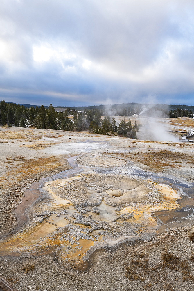 Yellowstone National Park, UNESCO World Heritage Site, Wyoming, United States of America, North America