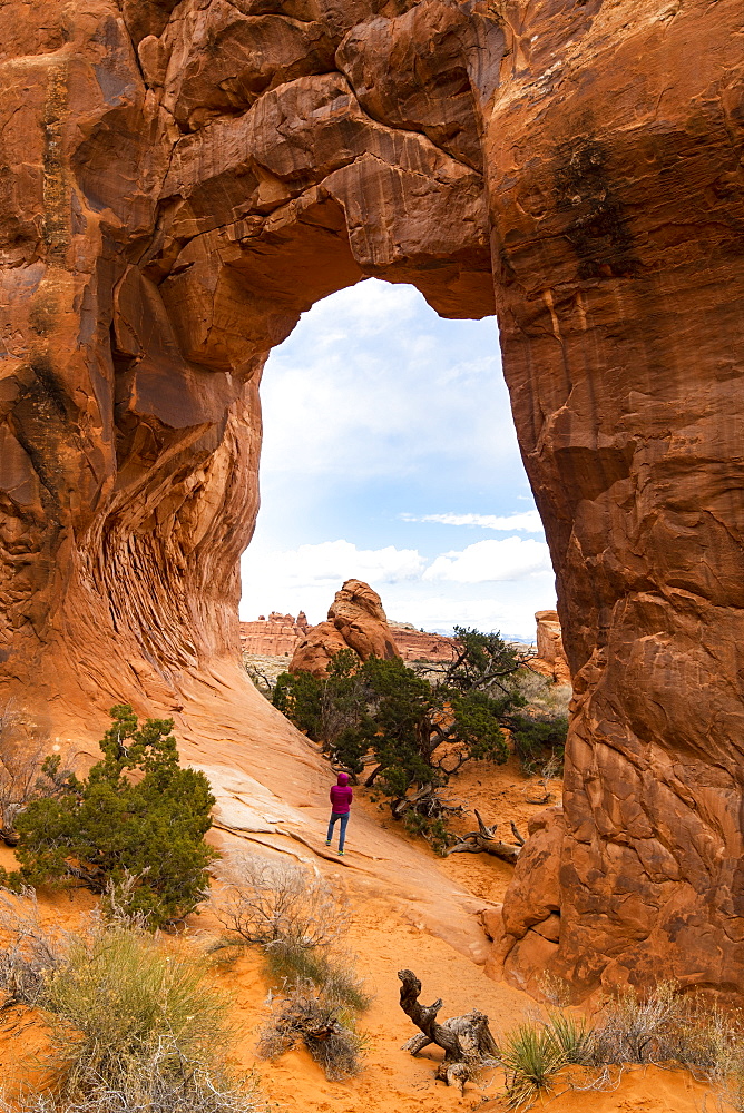 Arches National Park, Moab, Utah, United States of America, North America