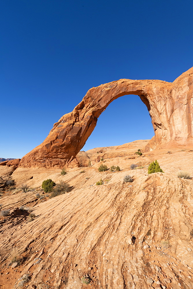 Corona Arch and Bootlegger Canyon, Moab, Utah, United States of America, North America