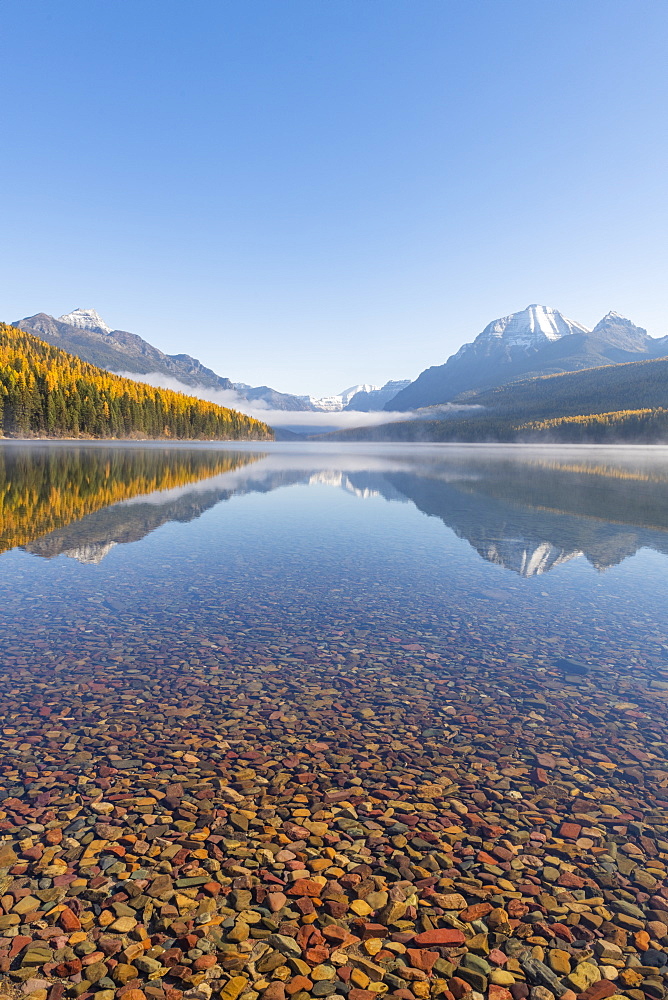 Bowman Lake, Glacier National Park, Montana, United States of America, North America