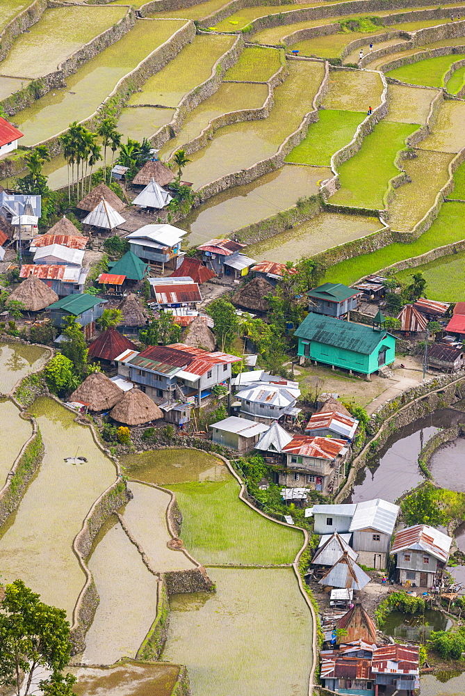 Batad, UNESCO World Heritage Site, Luzon, Philippines, Southeast Asia, Asia