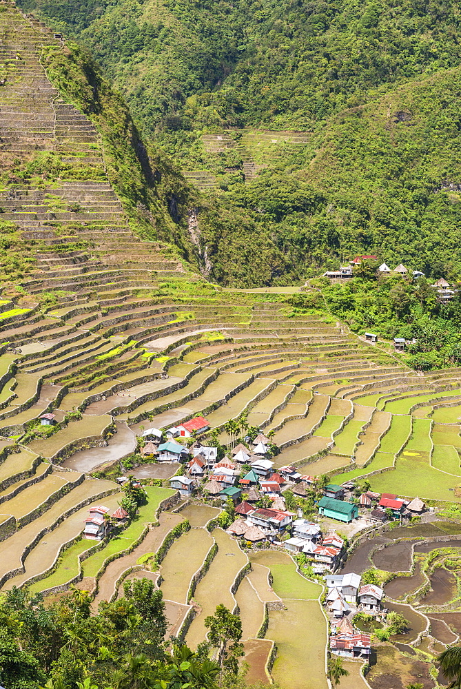 Batad, UNESCO World Heritage Site, Luzon, Philippines, Southeast Asia, Asia