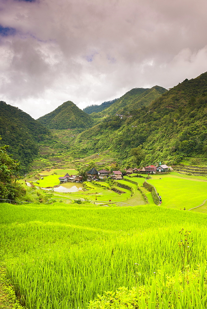 Rice Terraces, Bangaan, UNESCO World Heritage Site, Luzon, Philippines, Southeast Asia, Asia