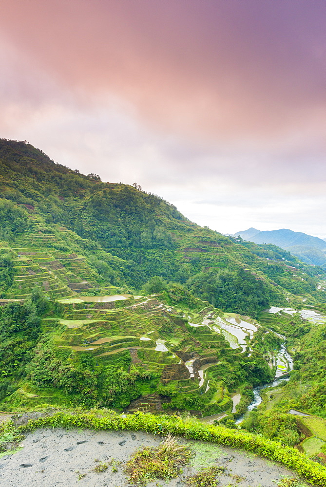 Rice Terraces, Banaue, UNESCO World Heritage Site, Luzon, Philippines, Southeast Asia, Asia