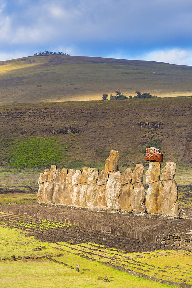 Moai heads of Easter Island, Rapa Nui National Park, UNESCO World Heritage Site, Easter Island, Chile, South America