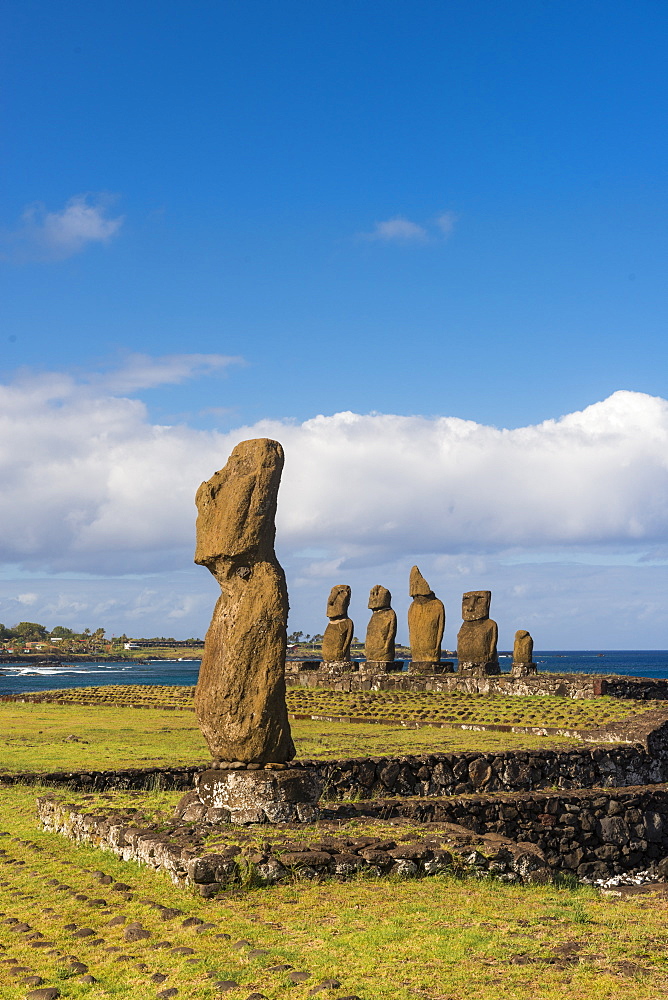 Moai heads of Easter Island, Rapa Nui National Park, UNESCO World Heritage Site, Easter Island, Chile, South America