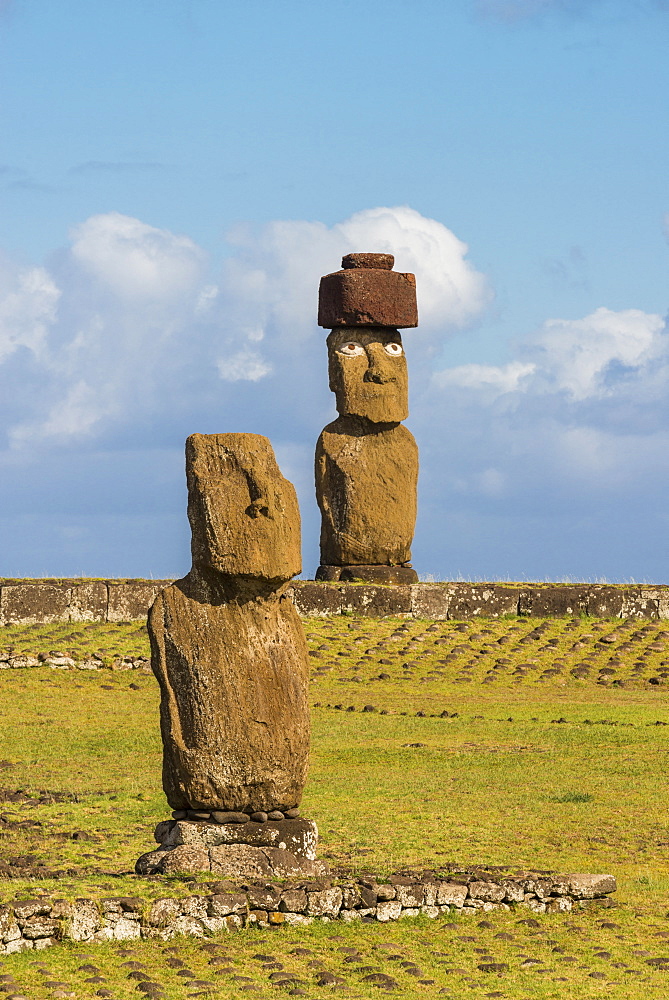 Moai heads of Easter Island, Rapa Nui National Park, UNESCO World Heritage Site, Easter Island, Chile, South America