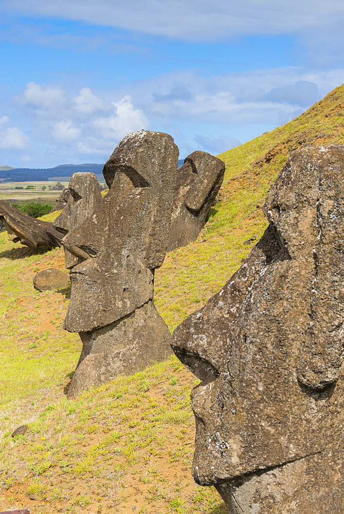 Moai heads of Easter Island, Rapa Nui National Park, UNESCO World Heritage Site, Easter Island, Chile, South America